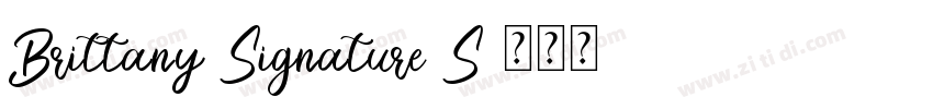 Brittany Signature S字体转换